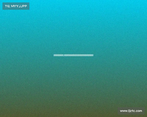 棋类国际赛事流程,棋类国际赛事全流程深度解析从筹备到实施的完整指南